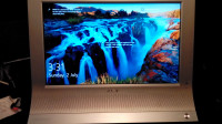 Sony MFM-HT75W 17"HDTV-Ready LCD TV/PC Display Gaming T
