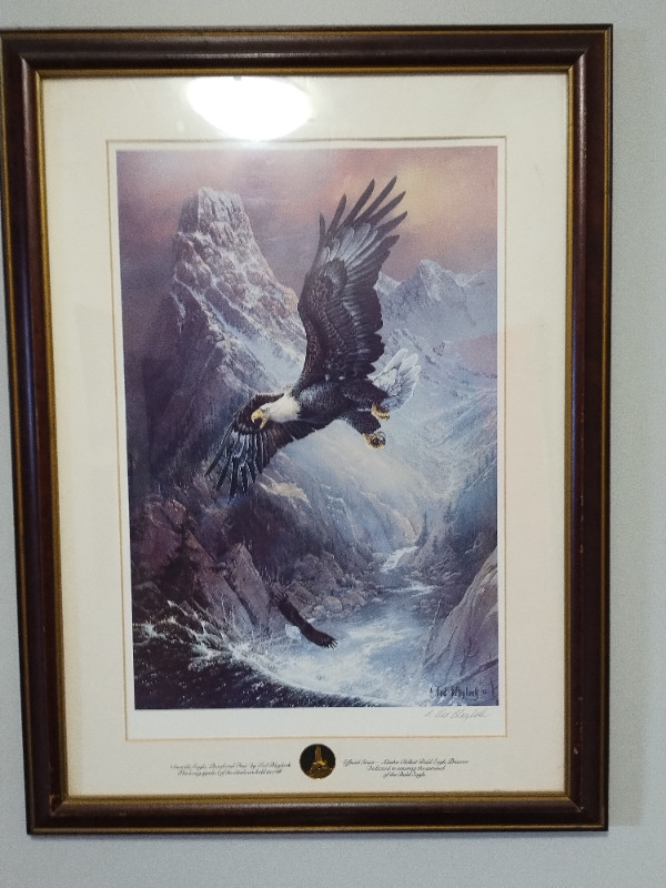 Two eagle pictures in Arts & Collectibles in Sault Ste. Marie - Image 2