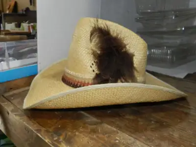 Straw Cowboy Hat, Bee Cool, Big Sandy, Size 7, View more