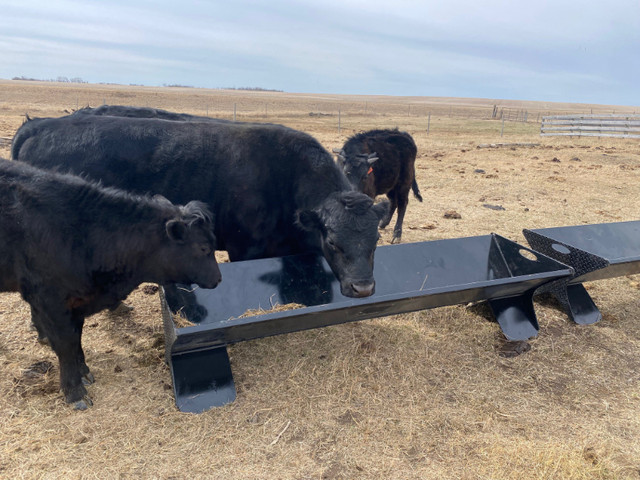 New 7'5" Heavy Duty Steel Cattle Feeder trough. in Livestock in Saskatoon - Image 2