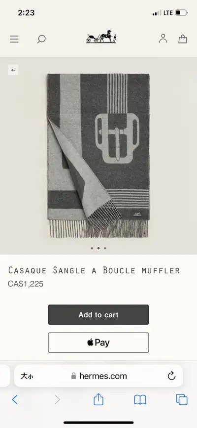 Hermes Scarf, View more