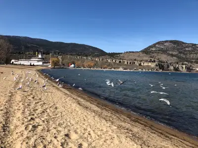 South Okanagan BC,Penticton Beachfront  Home/Condo for Sale, View more