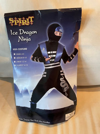 Ice Dragon Ninja Costume 