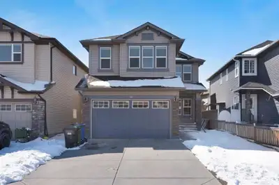 1 bedrooms fully furnished basement is available for rent in skyview. close to all amenities availab...