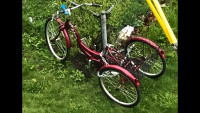 Tricycle neuf et Bicycle