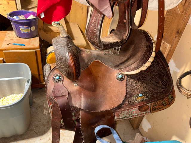 Doubly T Barrel saddle  in Equestrian & Livestock Accessories in Annapolis Valley - Image 2