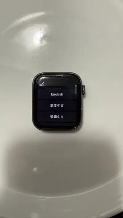 Apple Watch SE 44mm (Gen 1) two bands & charger included, View more