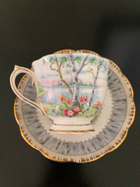 Silver Birch (Royal Albert) bone China tea cup/saucer- like new