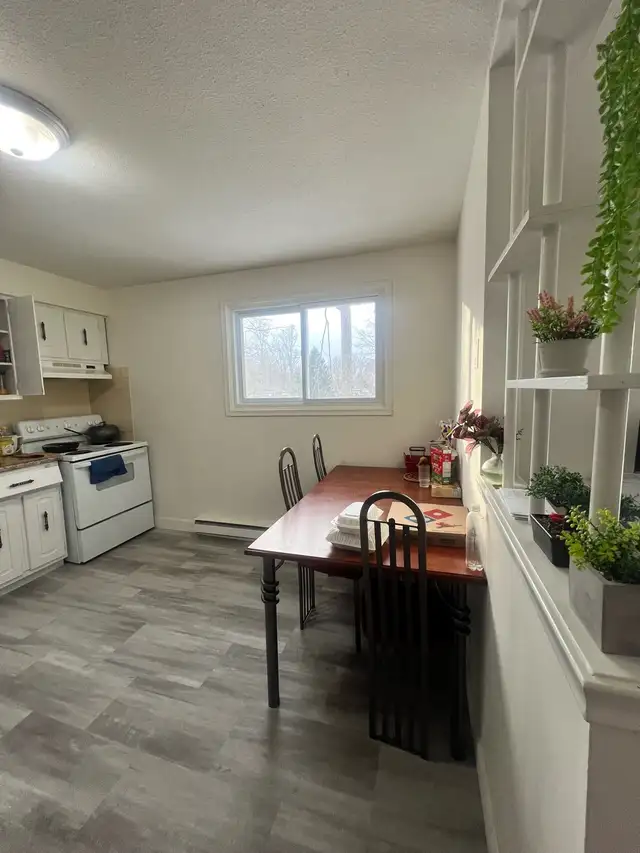 Private Room for Rent – Female Only | Waterloo 63838172711427124