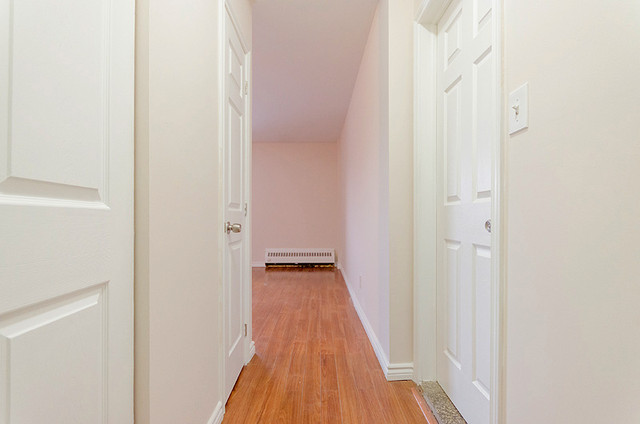 Bright Bachelor Apartment Near Downtown Sudbury in Long Term Rentals in Sudbury - Image 3