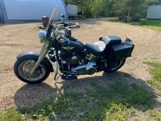 2016 Harley Davidson FATBOY in Street, Cruisers & Choppers in Edmonton - Image 9