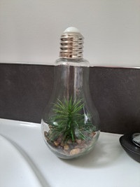 Pot lumière avec plante.