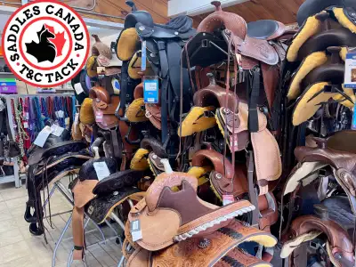 Saddles Canada carries a wide variety of Western & English tack & saddles. We ship Canada-wide. Most...