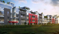 Boathaus Condos in Whitby! VIP Access! Call Now!