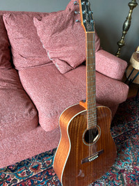 Seagull Solid Wood Series Acoustic Guitar