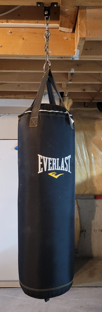 Everlast Punching Bag 75lbs