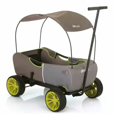 Used but good condition, comfortably seats 2 small children. Needs a good cleaning. Product descript...