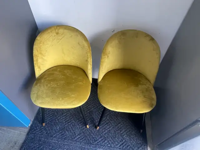 2 NEW Yellow Velvet Dining Chairs    in Chairs & Recliners in London - Image 3