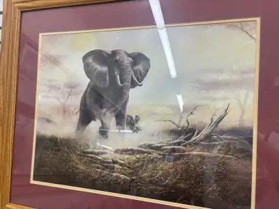 Elephant Framed Print, View more