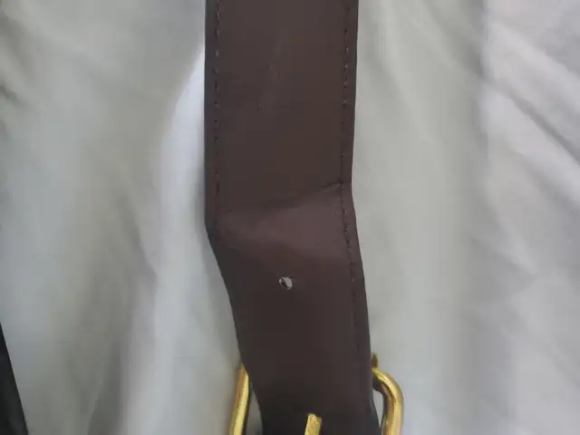 Louis Vuitton Purse in Women's - Bags & Wallets in London - Image 11