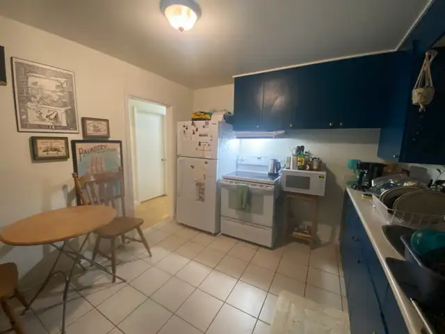Room for rent in 3BR apartment in Room Rentals & Roommates in Ottawa - Image 3