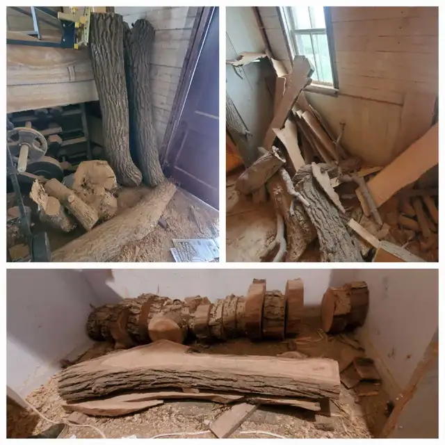 Raw Wood Slabs, Cookies, & Craft Pieces! in Other in Regina - Image 4