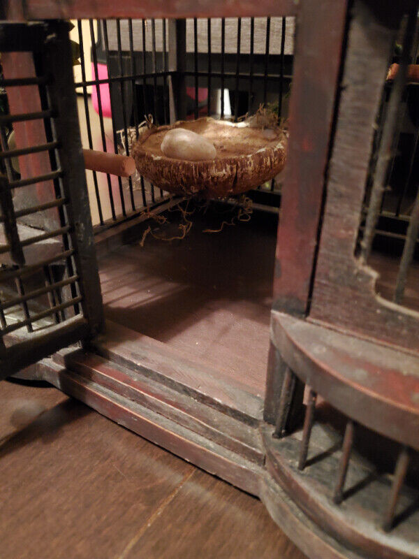 Wooden Bird Cage used like new/cage à oiseau en bois comme neuf dans Accessoires  à Ouest de l’Île - Image 2
