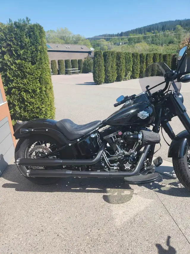 2017 Harley Davidson Softtail Slim S in Street, Cruisers & Choppers in Vernon - Image 2