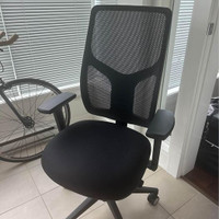 Raynor High Back Executive Mesh Chair - Originally $400 + tax!