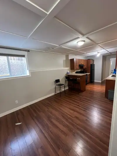 Basement renting in Saddleridge NE