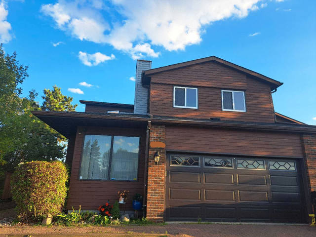 Room For Rent (Basement) in Long Term Rentals in Edmonton