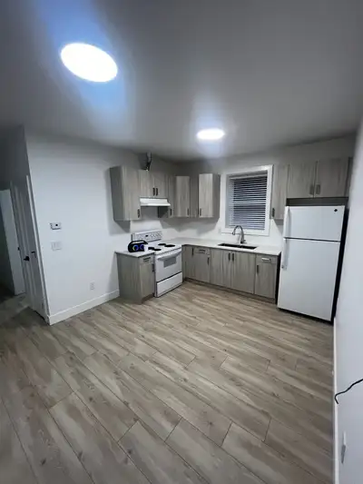 1 bedroom basement  Grandview heights south surrey
