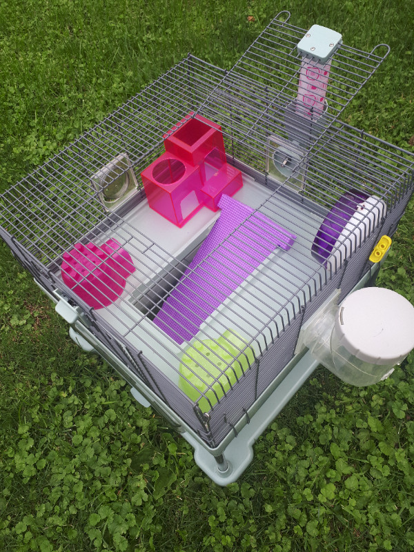 ***hamster cage**** in Small Animals for Rehoming in Windsor Region - Image 2