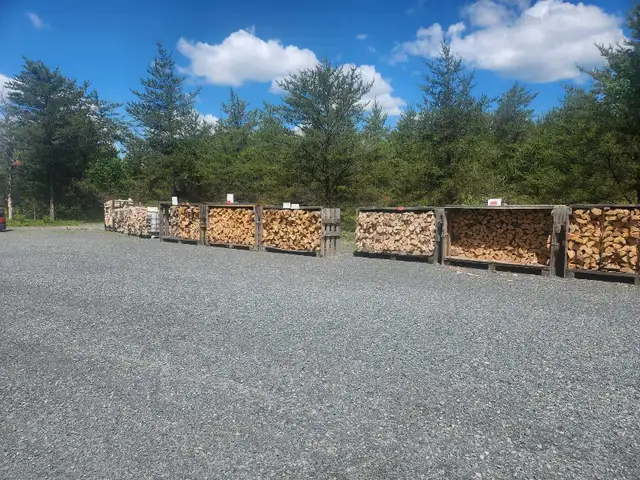 FIREWOOD ( DRY  BIRCH ) 5 cords left