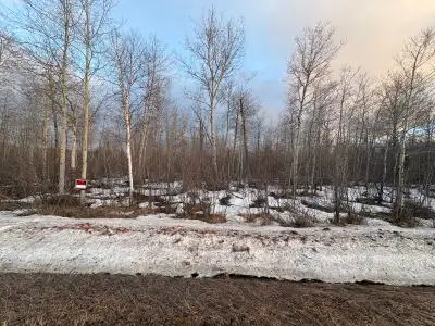 10 acre treed lots for sale on paved brunetville road Kapuskasing Ontario. 393’ of road frontage x 5...