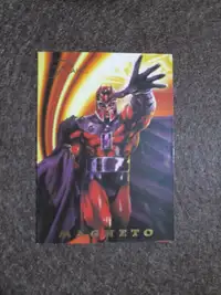 Carte 1994 Flair Magneto card