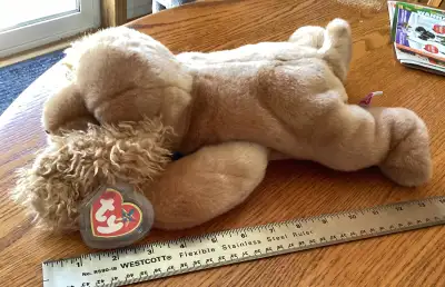Beanie Buddy’s, View more