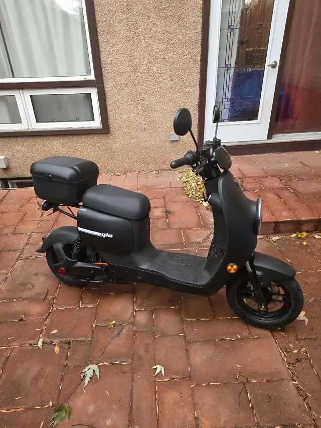 electric scooter in Scooters & Pocket Bikes in St. Albert - Image 2