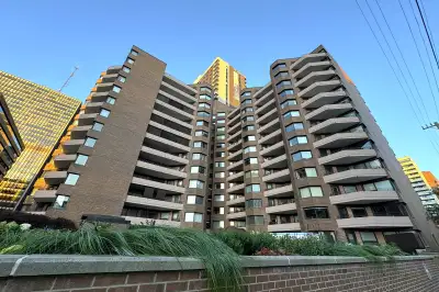 Updated 2 bed downtown condo w southern exposure for rent