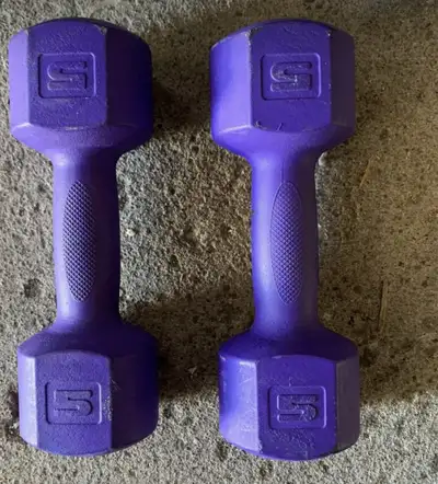Used Plastic cover $20 for both