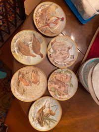 Set of 6 birds plates Collection