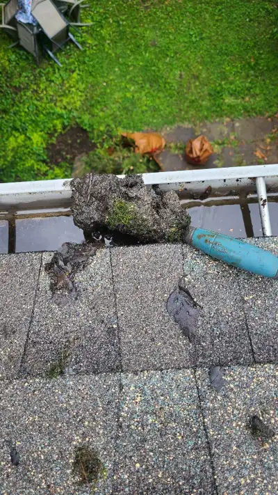Gutter Cleaning , View more