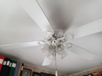 Ceiling Fan 48 inch by Westinhouse