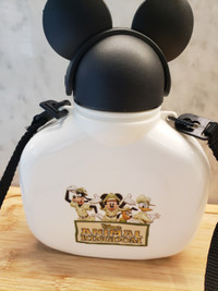 Disney Animal Kingdom Mickey & Friends Canteen Water Bottle