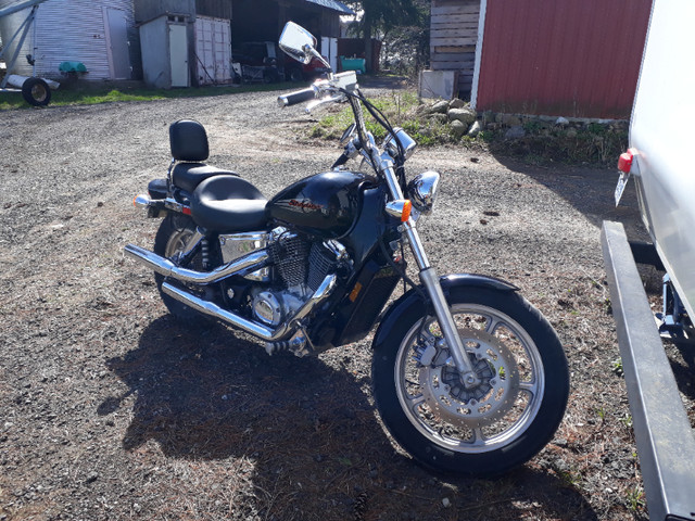 2000 Honda Shadow Spirit VT1100 in Street, Cruisers & Choppers in Kitchener / Waterloo - Image 2