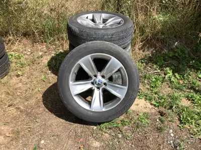 They were on my charger 06 Came off challenger 2014 Will fit 300 and others Come with nuts $300 or b...