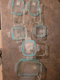 Glass storage dishes 