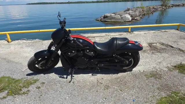 harley-davidson v-rod night in Street, Cruisers & Choppers in Markham / York Region - Image 3