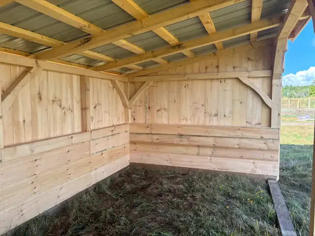 Locally Made Pine Sheds in Outdoor Tools & Storage in Barrie - Image 6