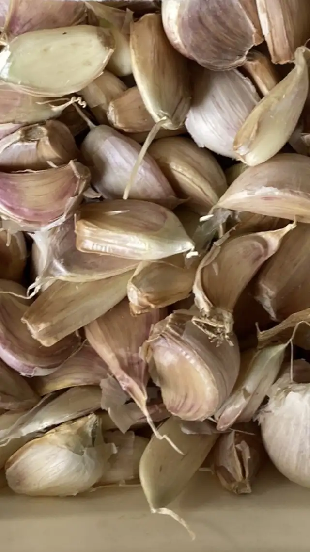 garlic heads or loose garlic cloves/seeds for planting $6/pound in Cayman Islands in Canada - Image 5